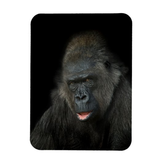 Gorilla Biddy Magneet (Verticaal)