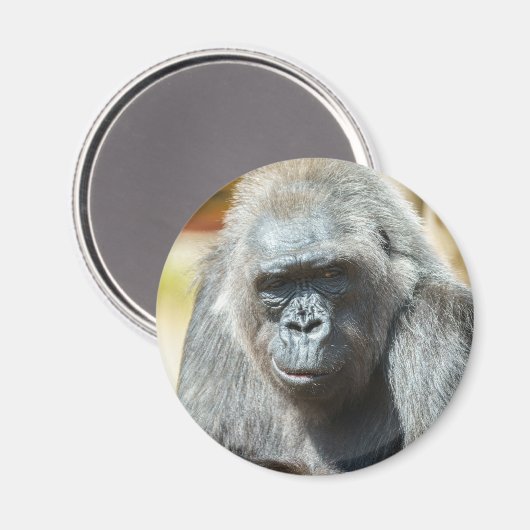 Gorilla Biddy Magneet (Voorkant / Achterkant)