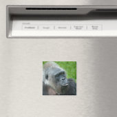 Gorilla Biddy Magneet (Insitu (Vaatwasser))