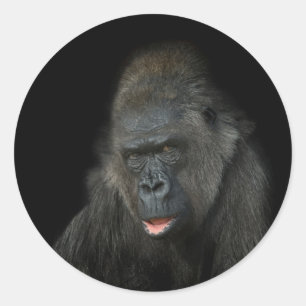 Gorilla Biddy Ronde Sticker