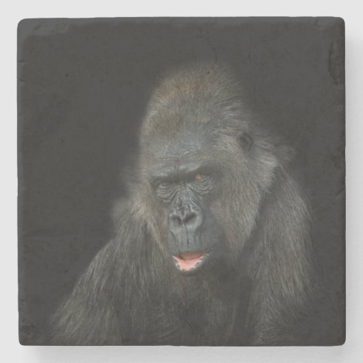 Gorilla Biddy Stenen Onderzetter (Voorkant)