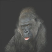 Gorilla Biddy Sticker (Voorkant)