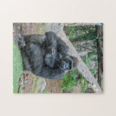 Gorilla bij de zoo-puzzel legpuzzel (Horizontaal)