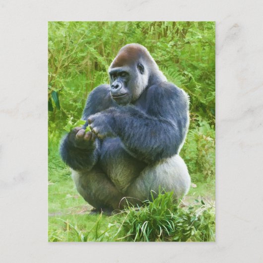 Gorilla Briefkaart (Voorkant)
