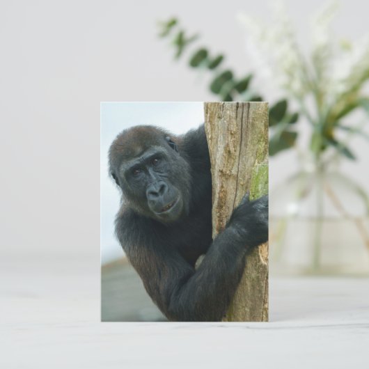 Gorilla Briefkaart (Staand voorkant)
