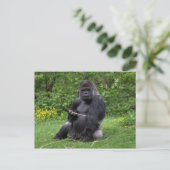 Gorilla Briefkaart (Staand voorkant)