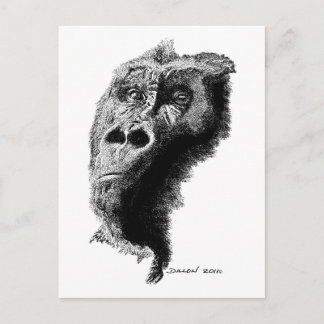 Gorilla Briefkaart