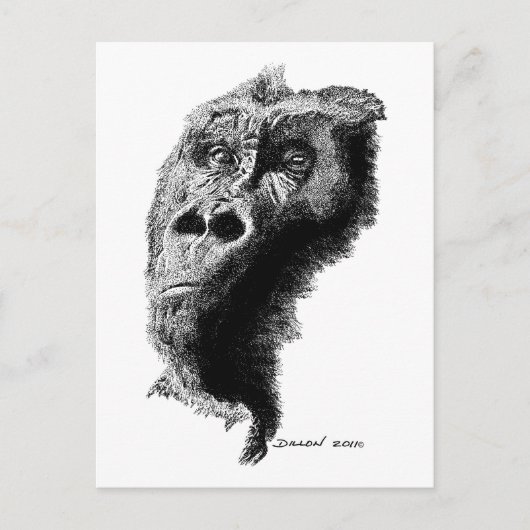 Gorilla Briefkaart (Voorkant)