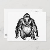 Gorilla Briefkaart (Voorkant / Achterkant)