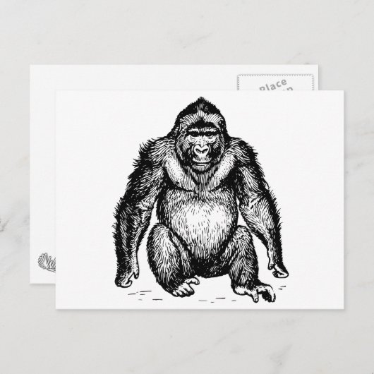 Gorilla Briefkaart (Voorkant / Achterkant)
