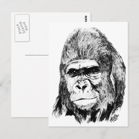 Gorilla Briefkaart (Voorkant / Achterkant)