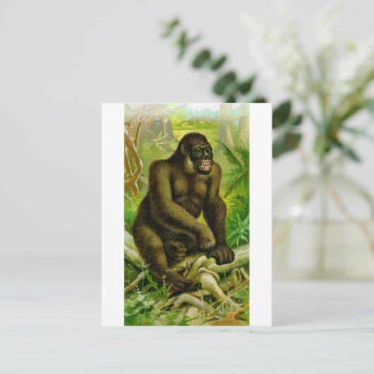 Gorilla Briefkaart (Staand voorkant)