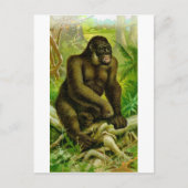 Gorilla Briefkaart (Voorkant)