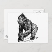 Gorilla Briefkaart (Voorkant / Achterkant)