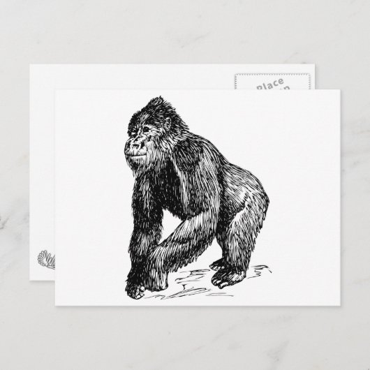 Gorilla Briefkaart (Voorkant / Achterkant)