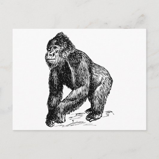 Gorilla Briefkaart (Voorkant)