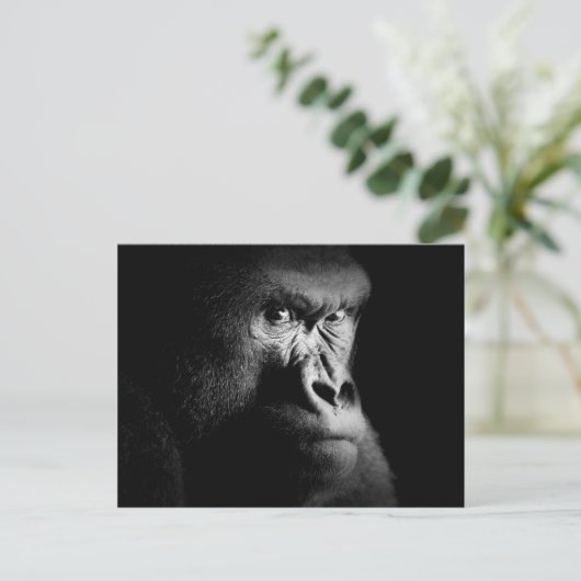 Gorilla Briefkaart (Staand voorkant)
