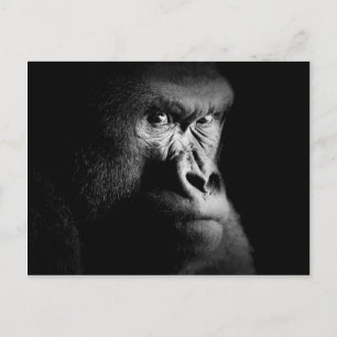 Gorilla Briefkaart
