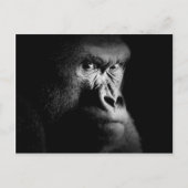 Gorilla Briefkaart (Voorkant)