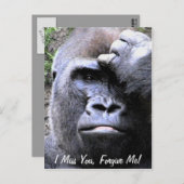 Gorilla_ Briefkaart (Voorkant / Achterkant)