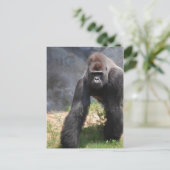 Gorilla Briefkaart (Staand voorkant)