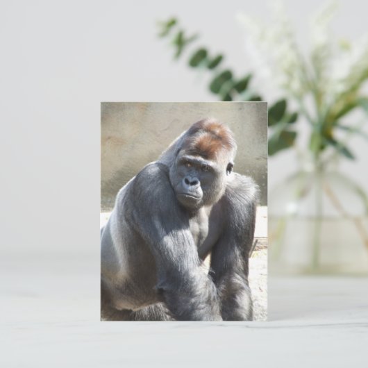 Gorilla Briefkaart (Staand voorkant)
