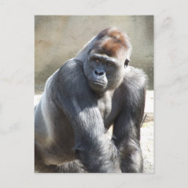 Gorilla Briefkaart