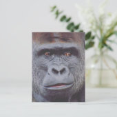 gorilla briefkaart (Staand voorkant)