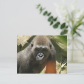 Gorilla Briefkaart (Staand voorkant)