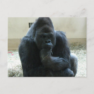 Gorilla Briefkaart