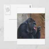 Gorilla Briefkaart (Voorkant / Achterkant)