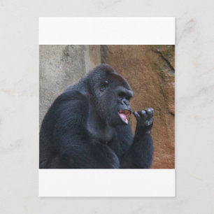 Gorilla Briefkaart