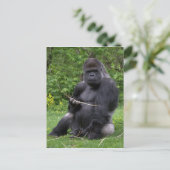Gorilla Briefkaart (Staand voorkant)