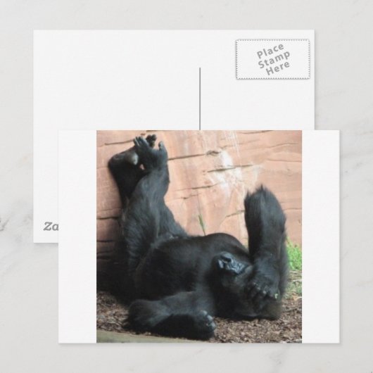 GORILLA BRIEFKAART (Voorkant / Achterkant)