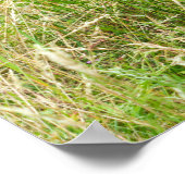 Gorilla Brother's Forever Poster (Hoek)