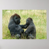 Gorilla Brother's Forever Poster (Voorkant)