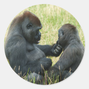 Gorilla Brother's Forever Ronde Sticker