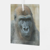 Gorilla Brothers - GoBros Glas Ornament (Voorkant links)