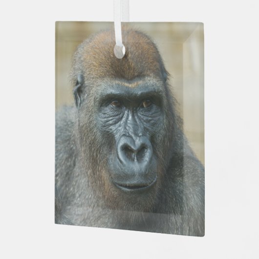 Gorilla Brothers - GoBros Glas Ornament (Voorkant links)