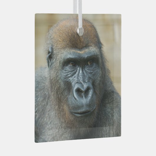 Gorilla Brothers - GoBros Glas Ornament (Voorkant Rechts)