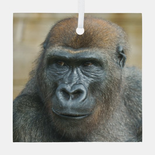 Gorilla Brothers - GoBros Glas Ornament (Achterkant)