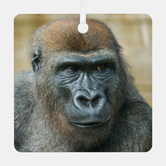 Gorilla Brothers - GoBros Metalen Ornament (Voorkant)