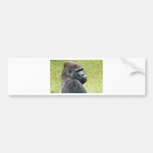 Gorilla Bumpersticker (Voorkant)