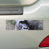 Gorilla_ Bumpersticker (Op auto)