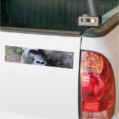Gorilla_ Bumpersticker (Op Truck)