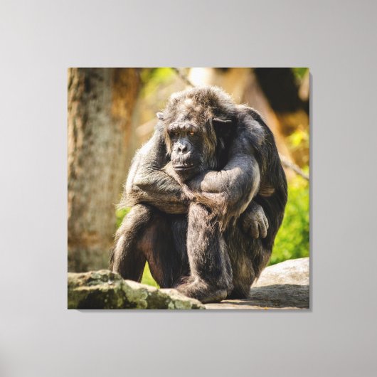 Gorilla Canvas Afdruk (Voorkant)
