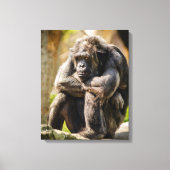 Gorilla Canvas Afdruk (Voorkant)