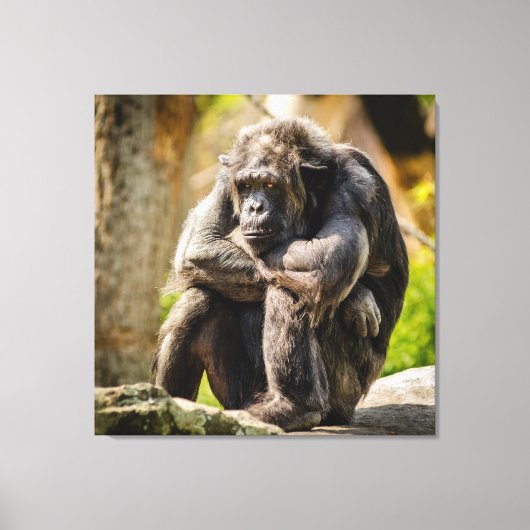 Gorilla Canvas Afdruk (Voorkant)
