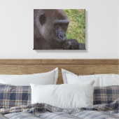 Gorilla Canvas Afdruk (Insitu (Slaapkamer))
