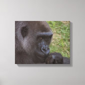 Gorilla Canvas Afdruk (Voorkant)